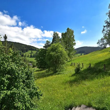 Modern Holiday With Pond Near The Forest In Schonbrunn * Langenbach (Thuringia)