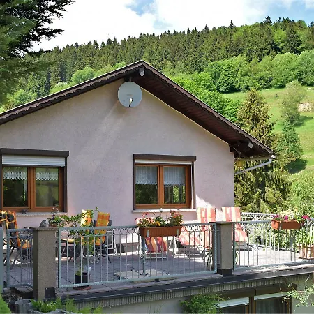 Modern Holiday With Pond Near The Forest In Schonbrunn Langenbach (Thuringia)